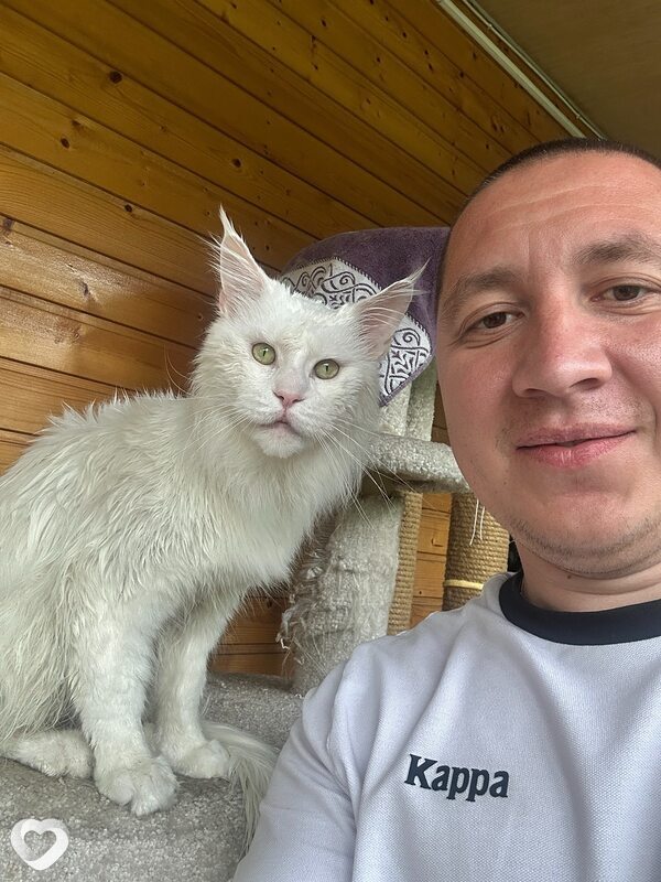 Дмитрий, 34, Сочи — анкета №4669122