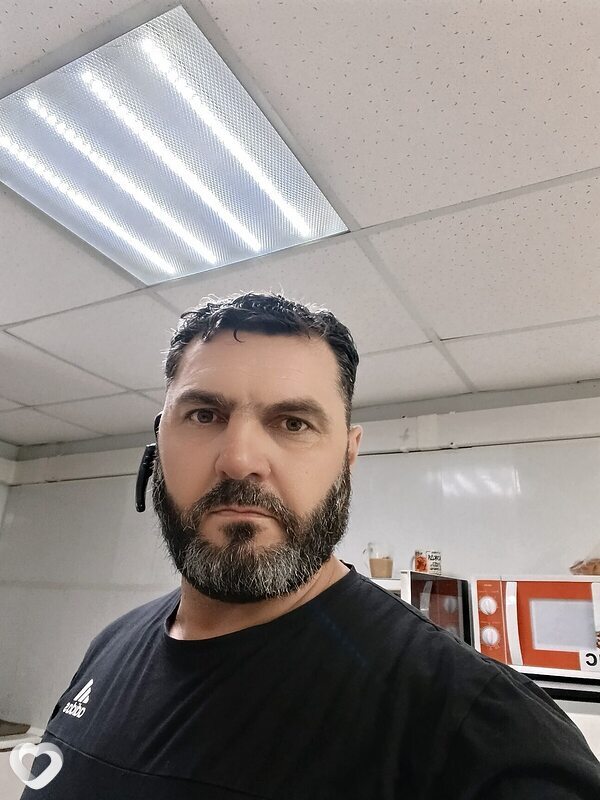 Shahin, Чита