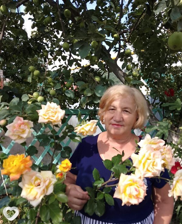 Флюза, Бавлы
