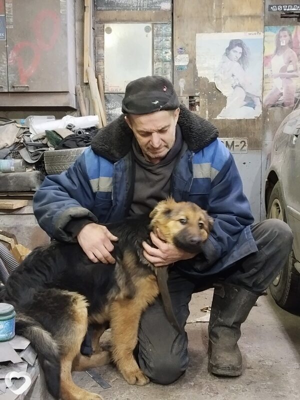 Дмитрий, 29, Витебске — анкета №4678164