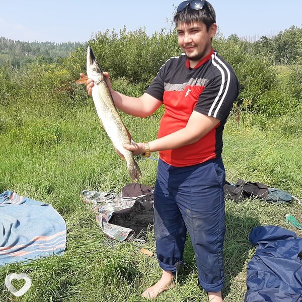 Дмитрий, Губкинский