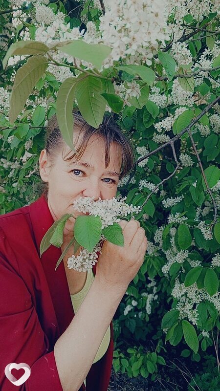 Антонина, Сокол