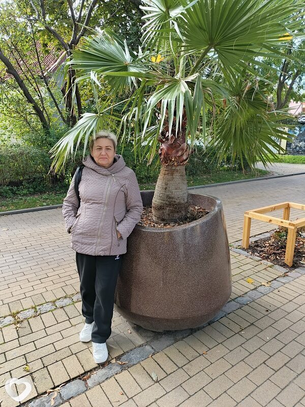 Светлана, Калининград