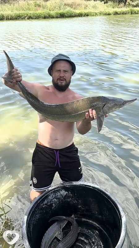 David, Георгиевск