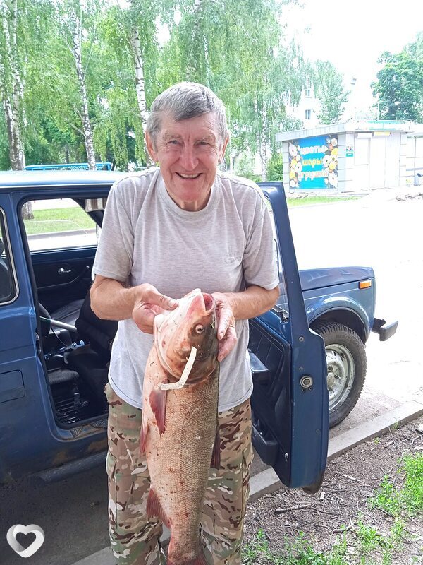 Николай, Отрадный
