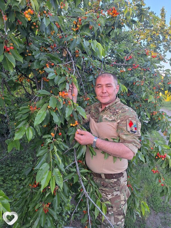 Влад, Волноваха
