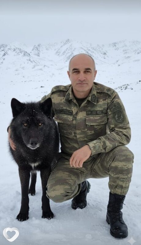 Сейран, Телави