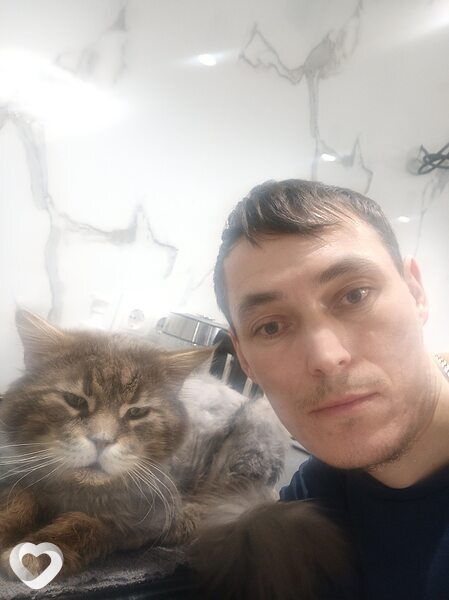 Остап, Одинцово