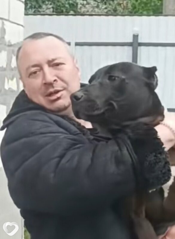 Дмитрий, Пинск