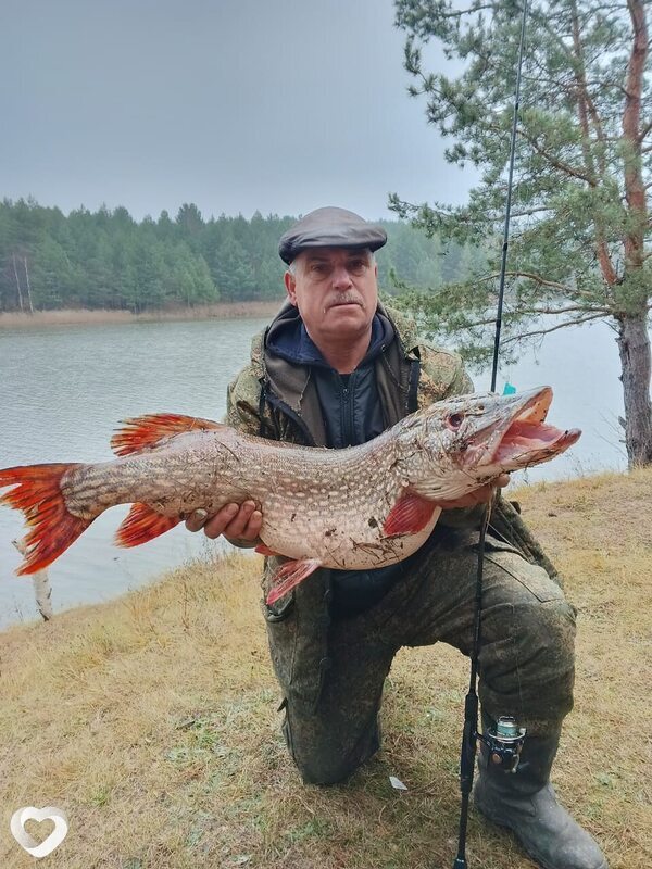 Владимир, Рязань