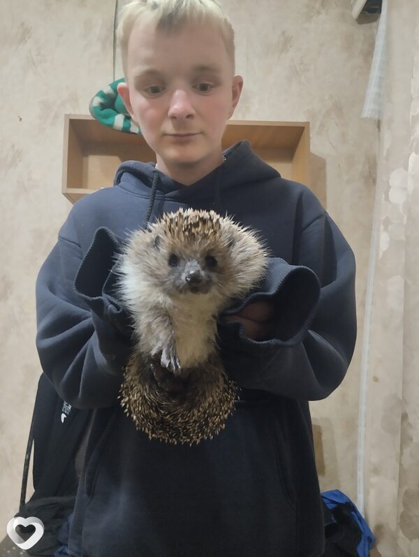 Дмитрий, Гомель