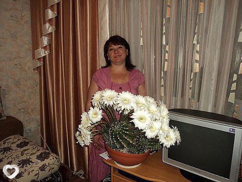 Зерачка, 49, Симферополе — анкета №15940