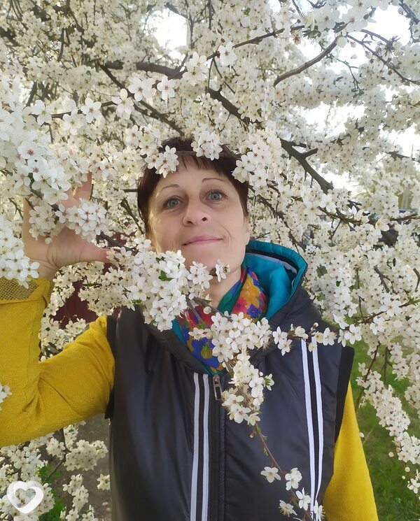 Лана, Береза