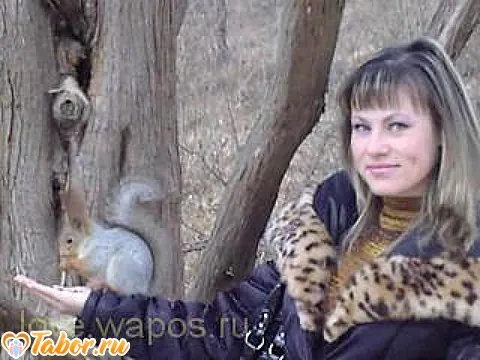 Росинка, Фастов
